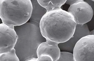 Microstructure de filtres Bronze PORAL